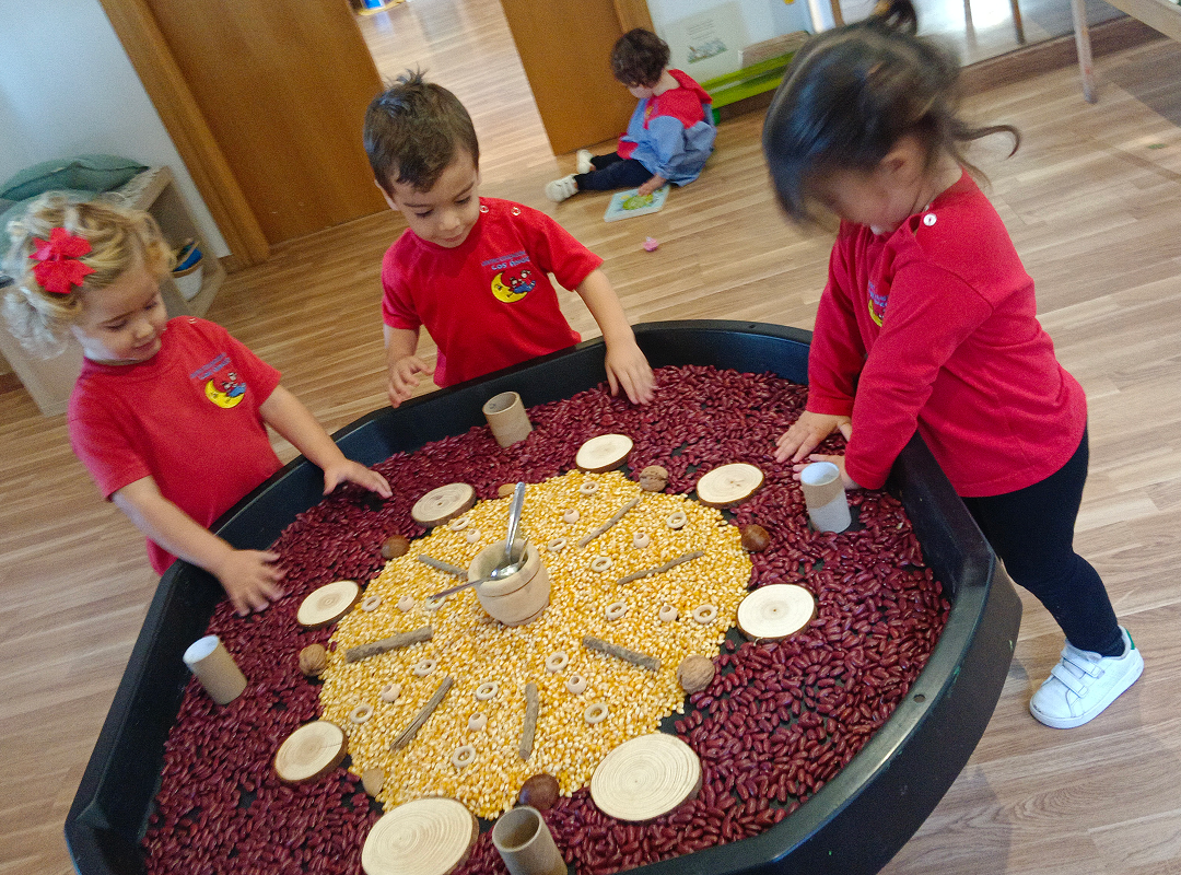 IMG 20241018 105813 1